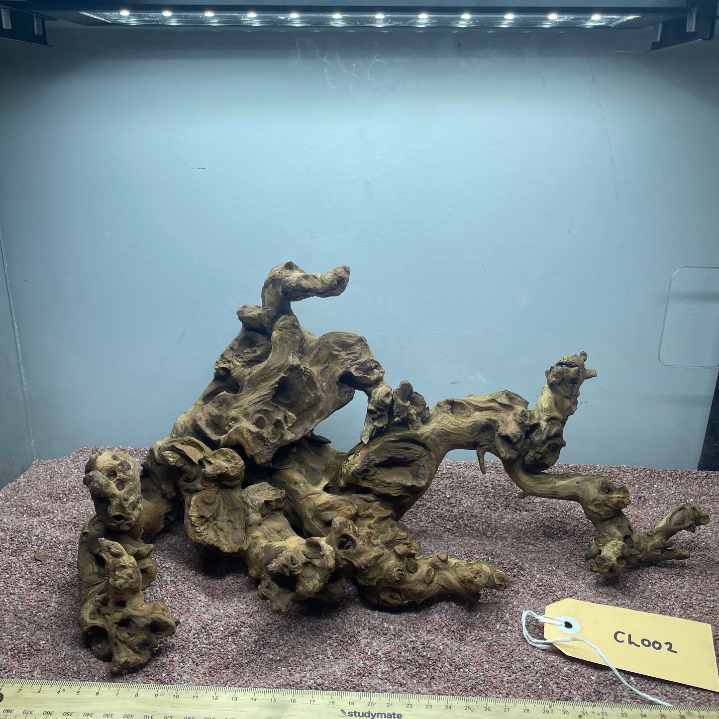 Coral Wood (Large)
