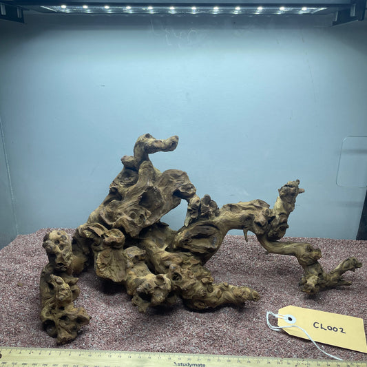 Coral Wood (Large)