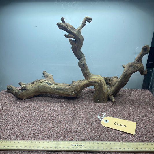 Coral Wood (Large)