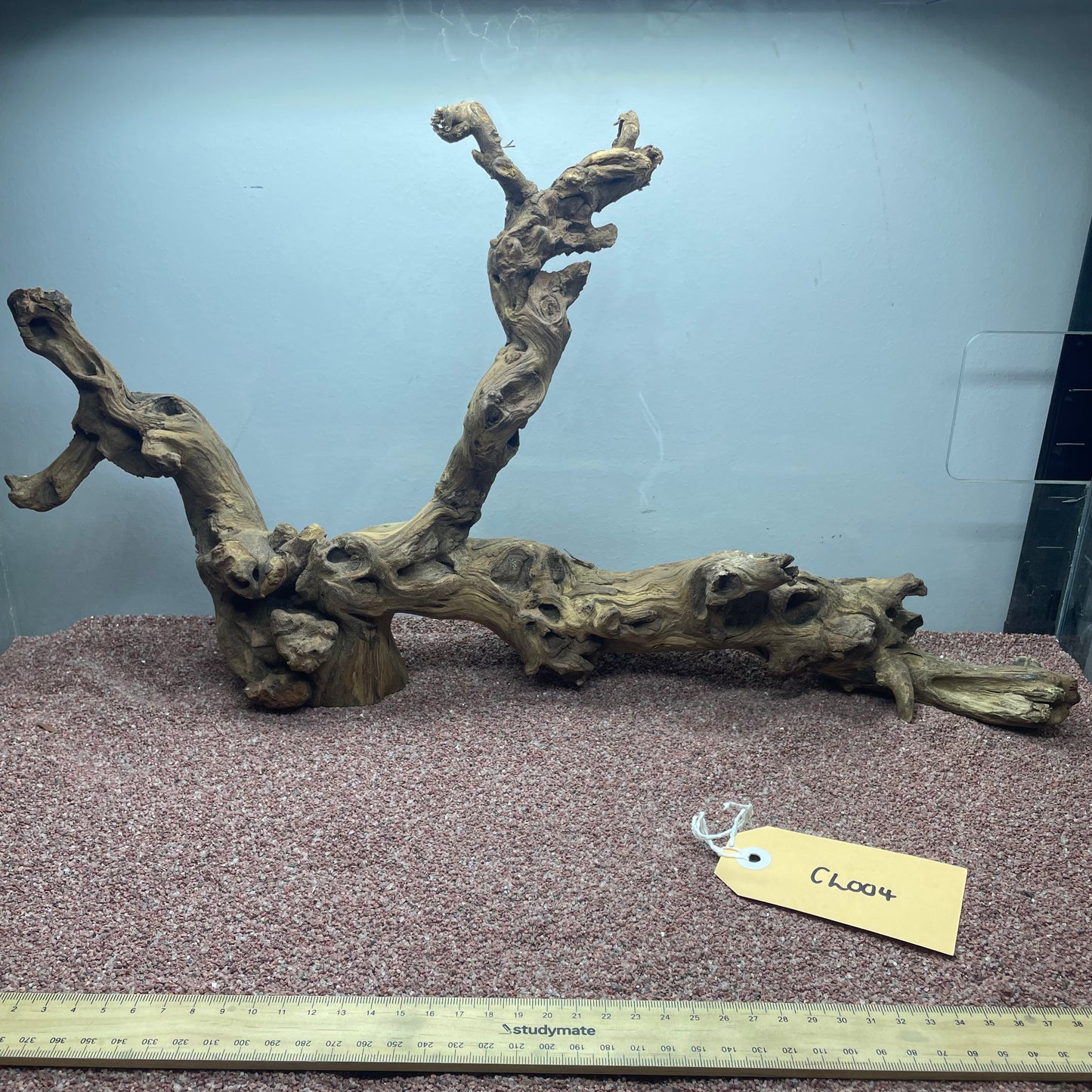 Coral Wood (Large)
