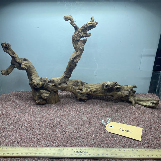 Coral Wood (Large)