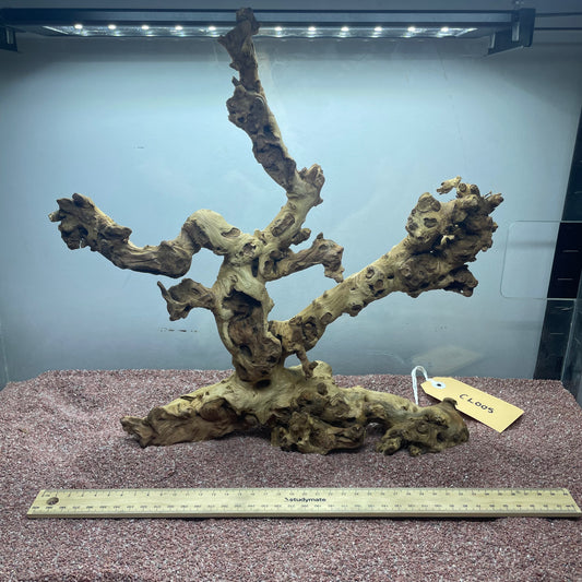 Coral Wood (Large)