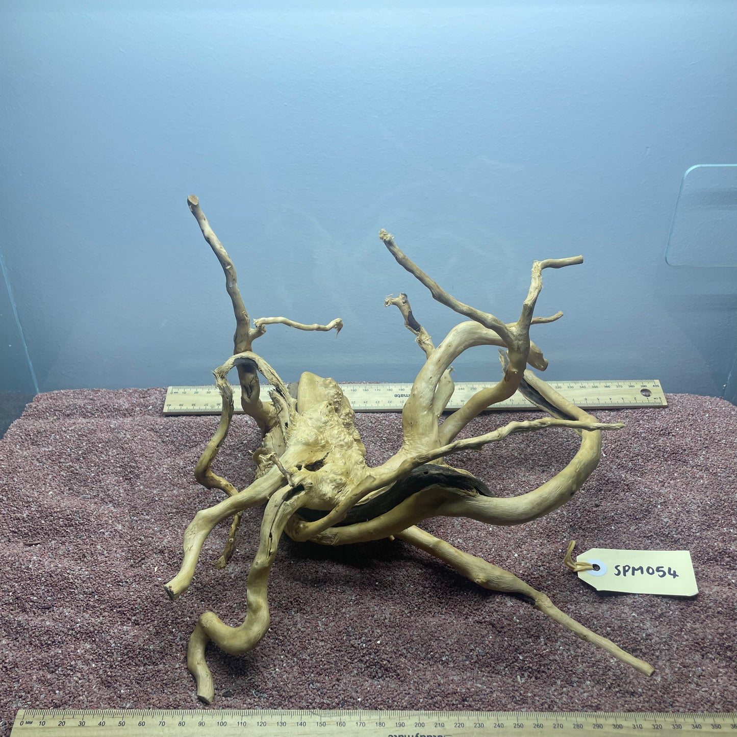 Spiderwood (Medium)