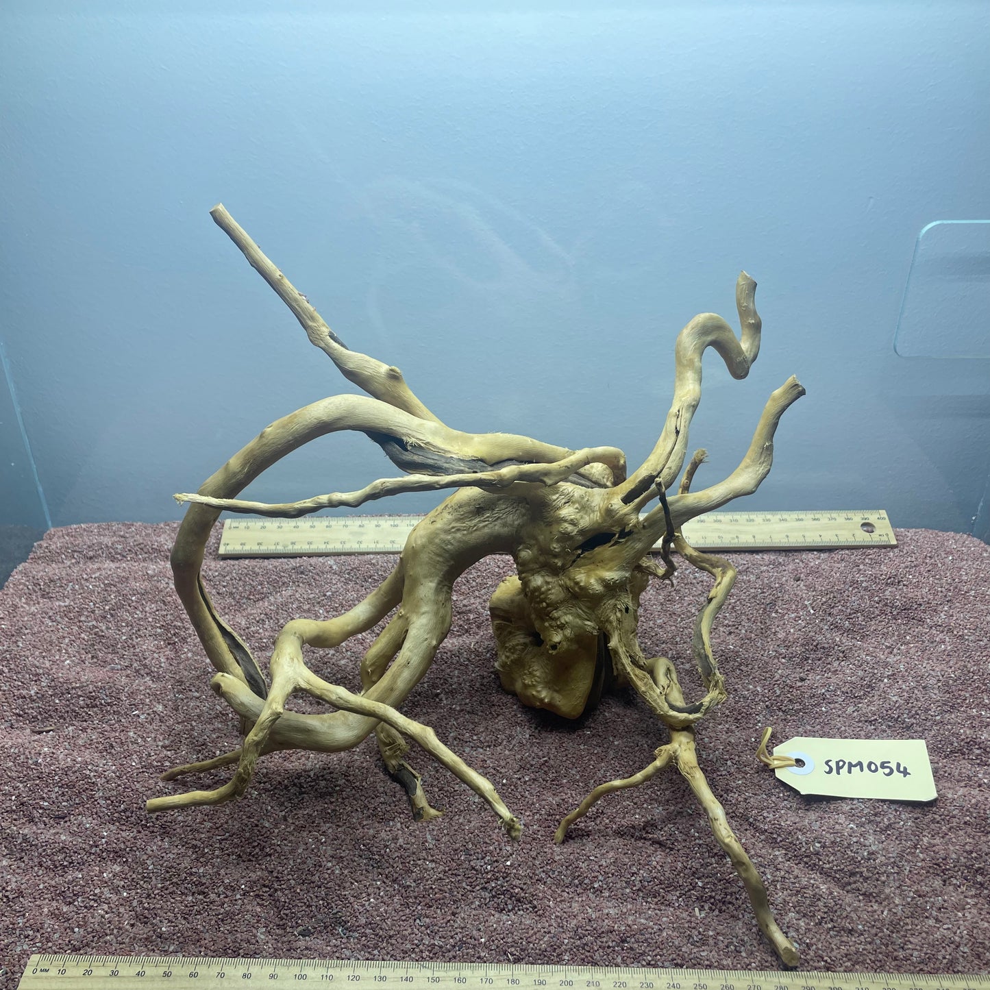 Spiderwood (Medium)