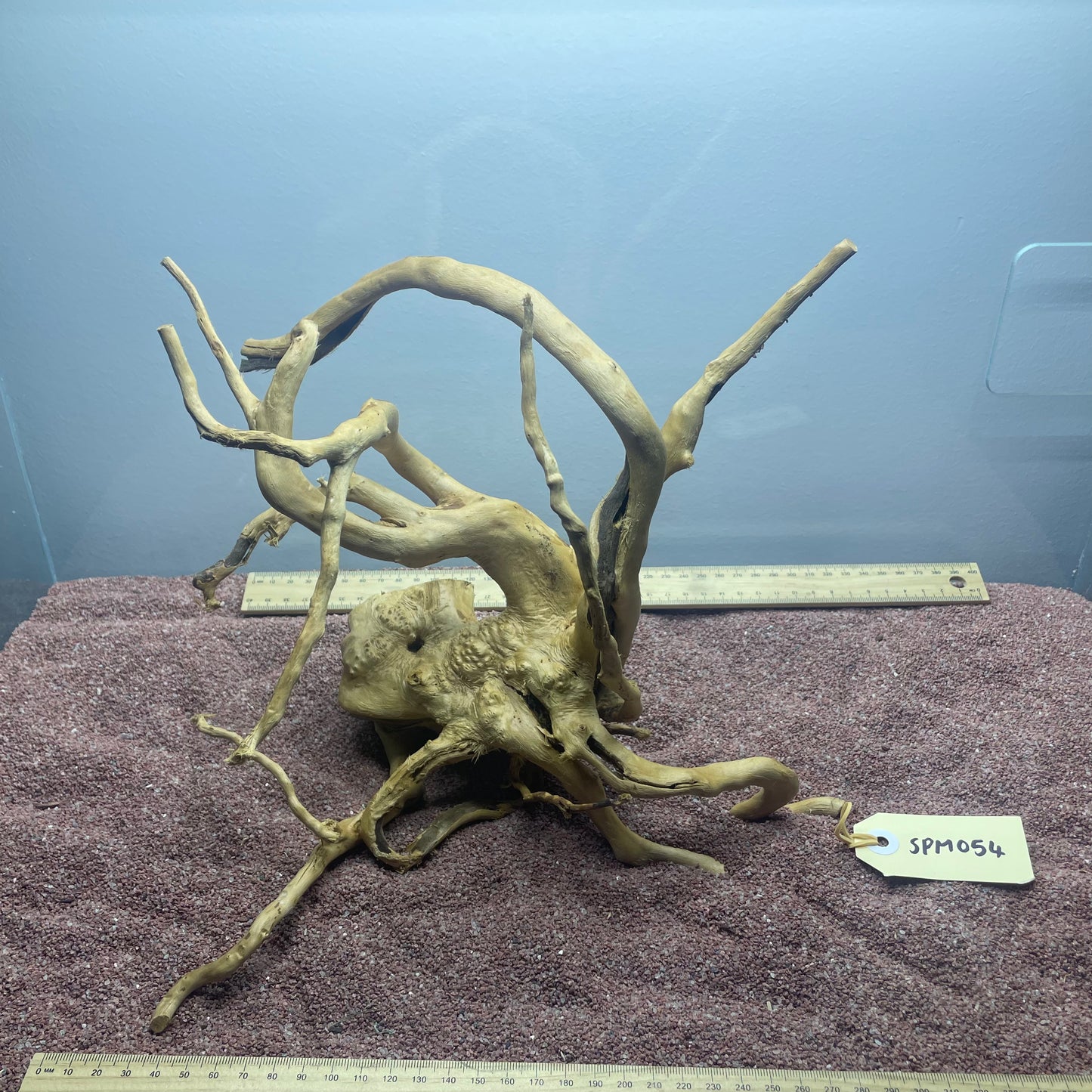 Spiderwood (Medium)