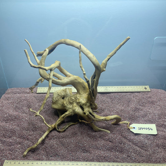 Spiderwood (Medium)