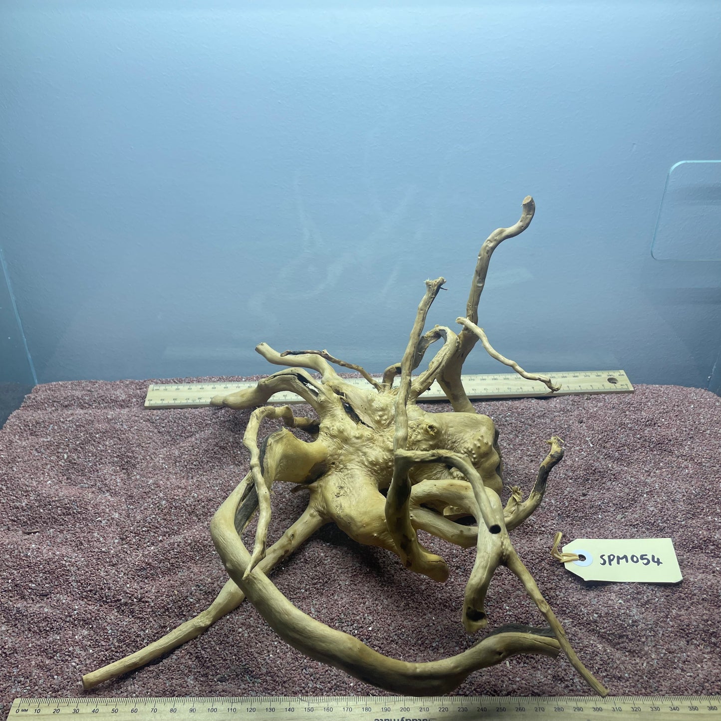 Spiderwood (Medium)