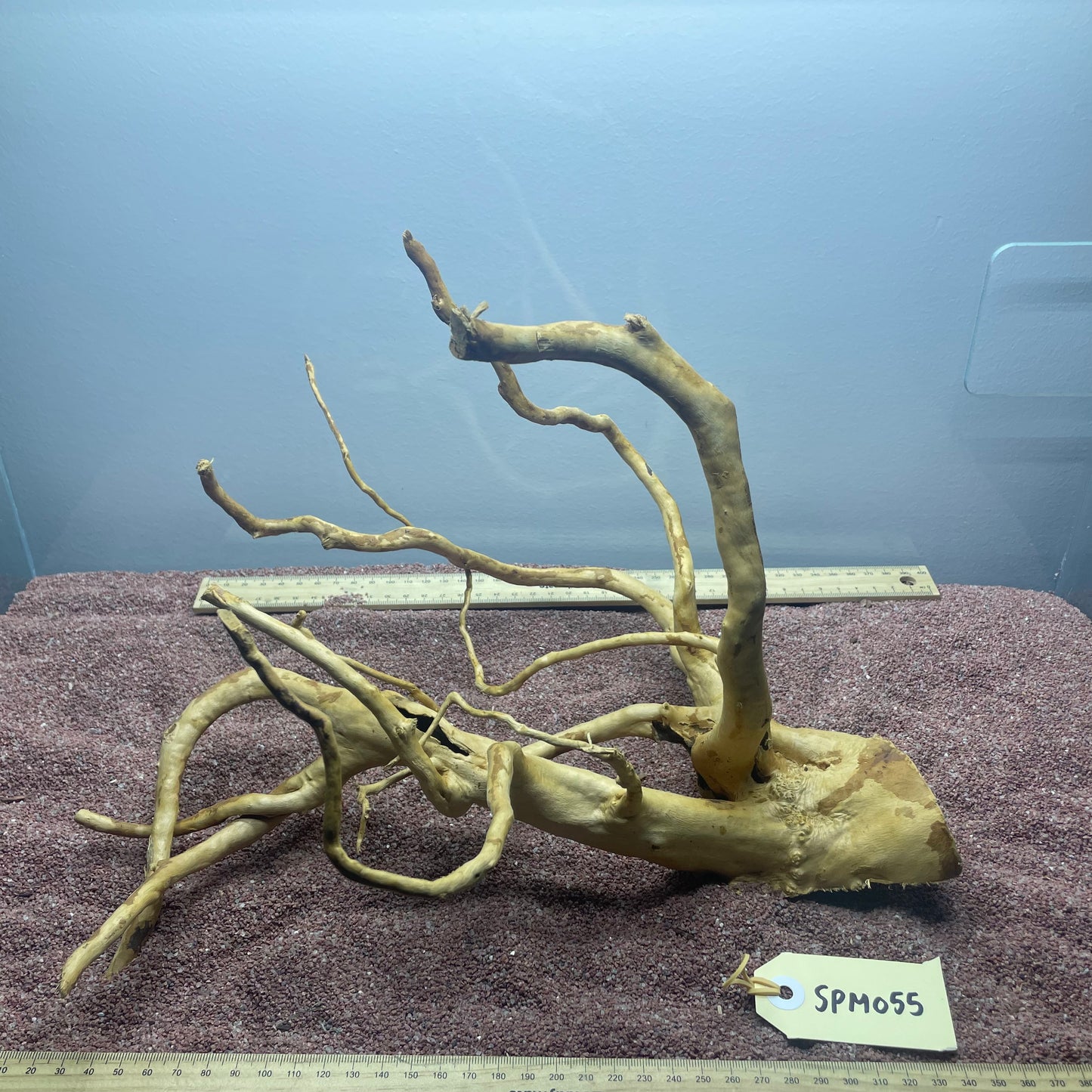 Spiderwood (Medium)
