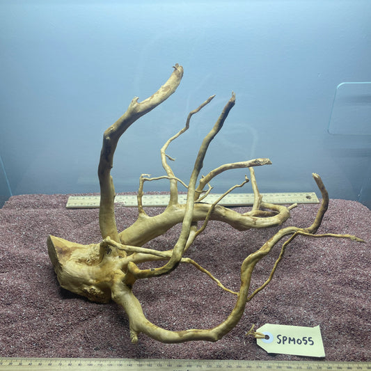 Spiderwood (Medium)