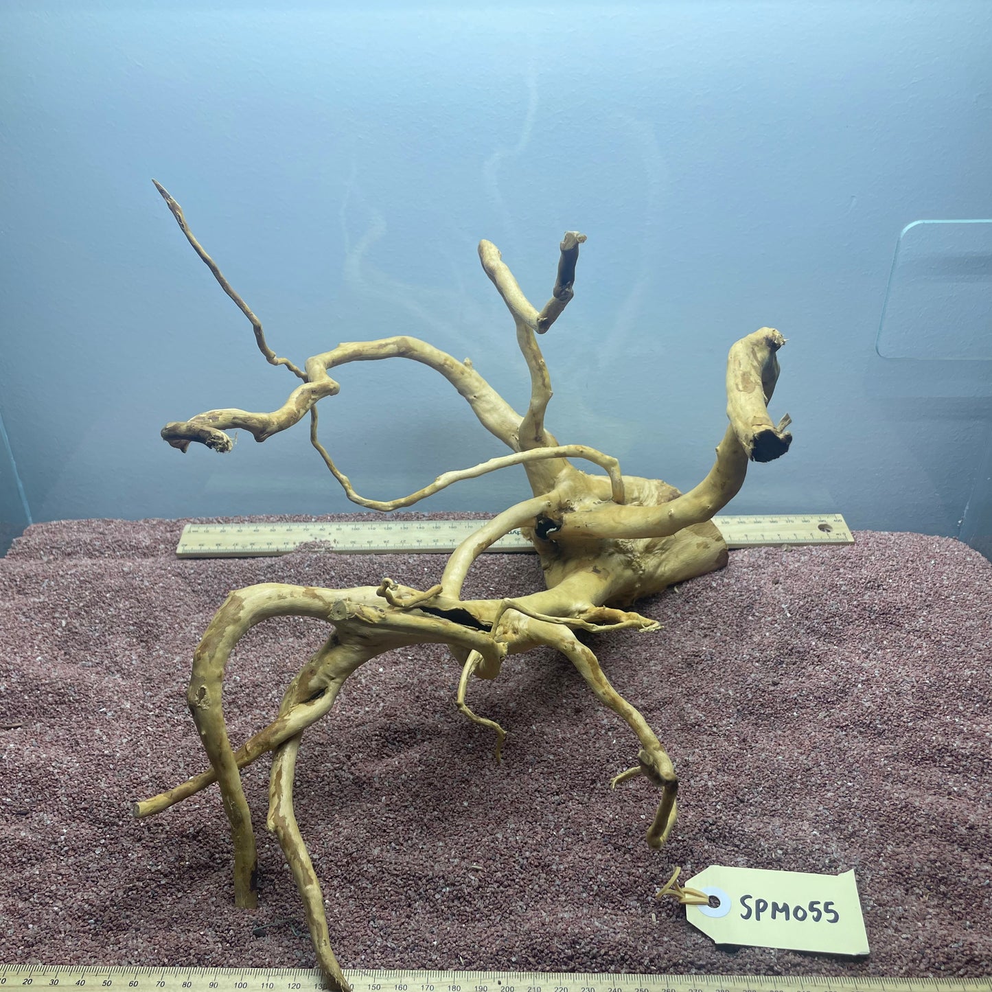 Spiderwood (Medium)