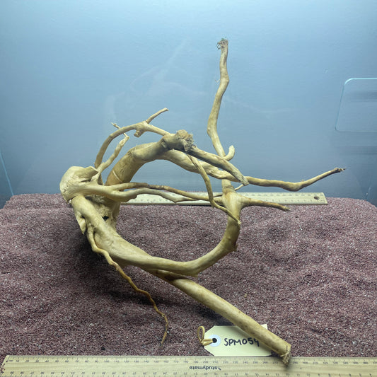 Spiderwood (Medium)
