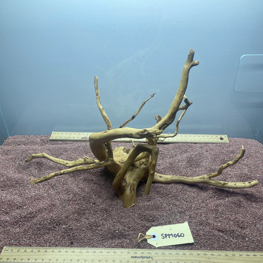 Spiderwood (Medium)