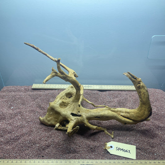 Spiderwood (Medium)