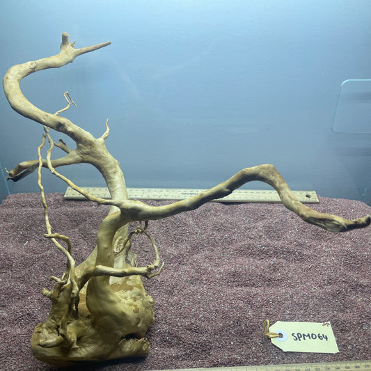 Spiderwood (Medium)