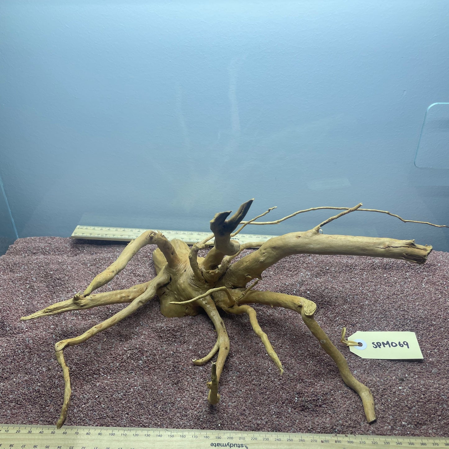 Spiderwood (Medium)