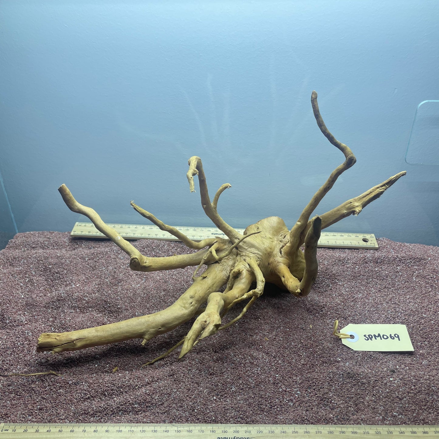 Spiderwood (Medium)