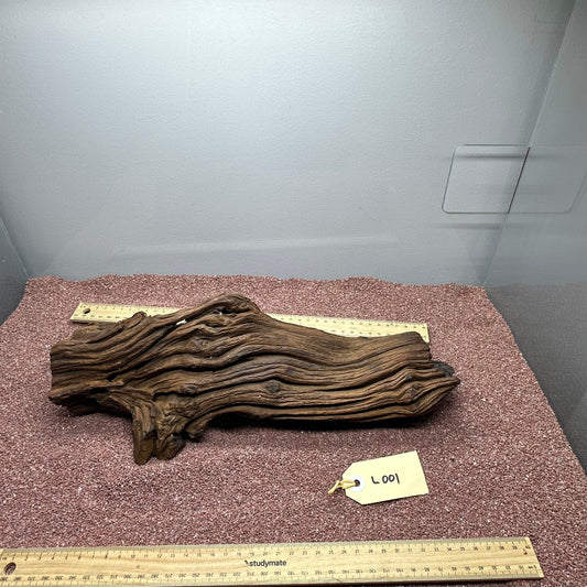 Driftwood (Large)