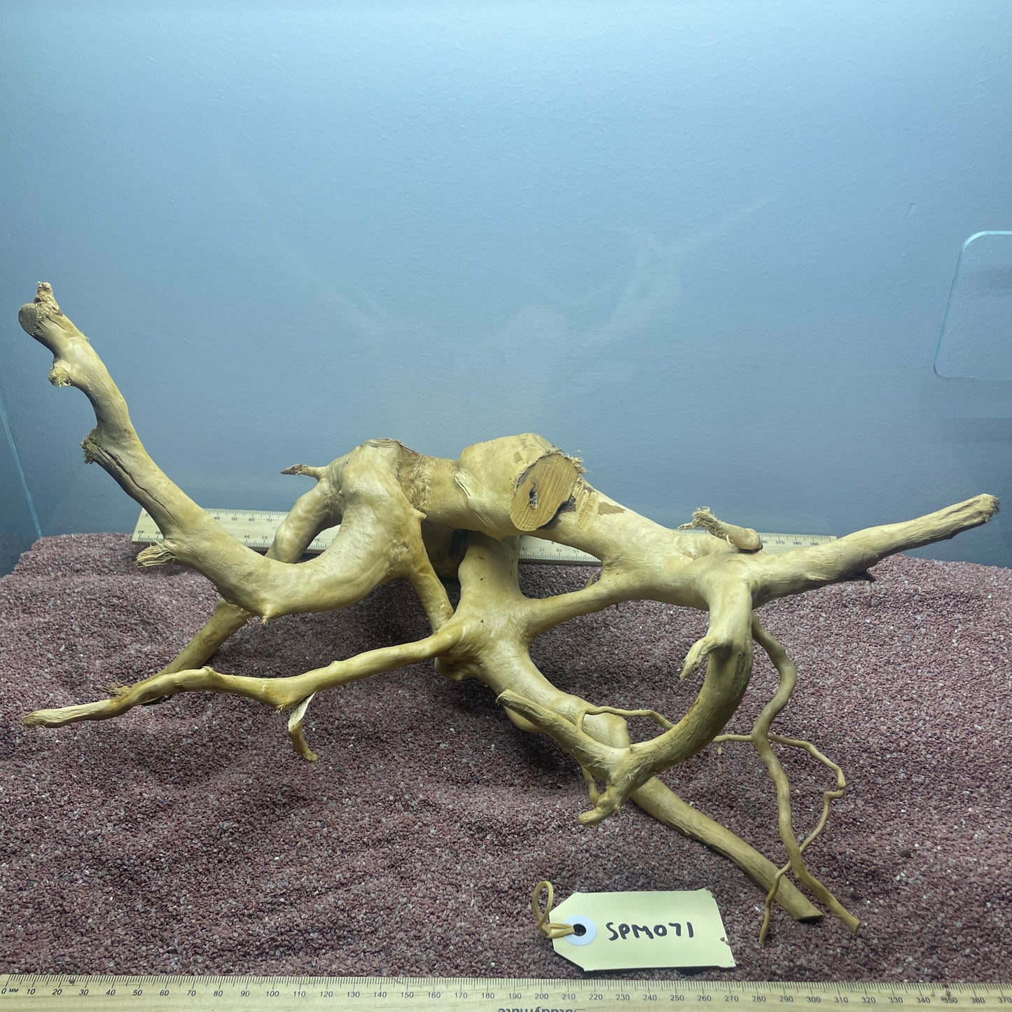 Spiderwood (Medium)