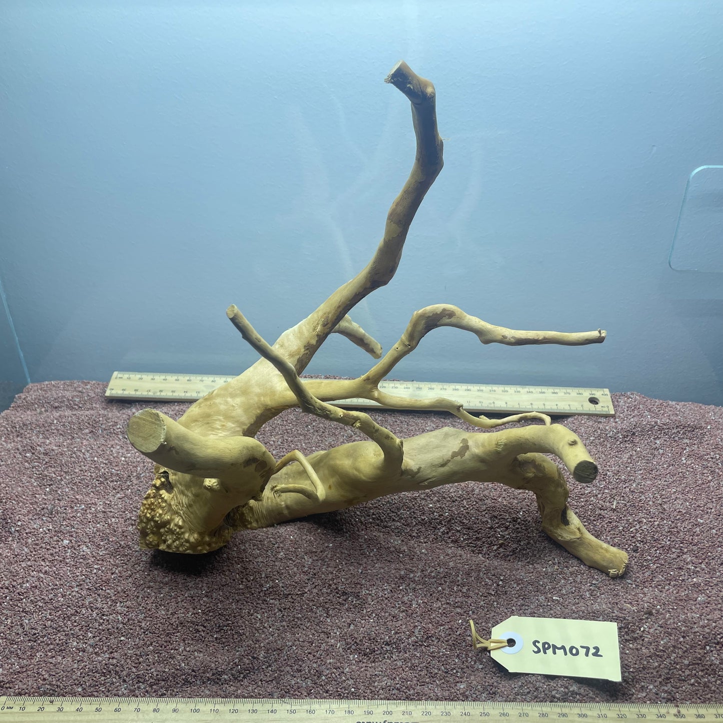 Spiderwood (Medium)