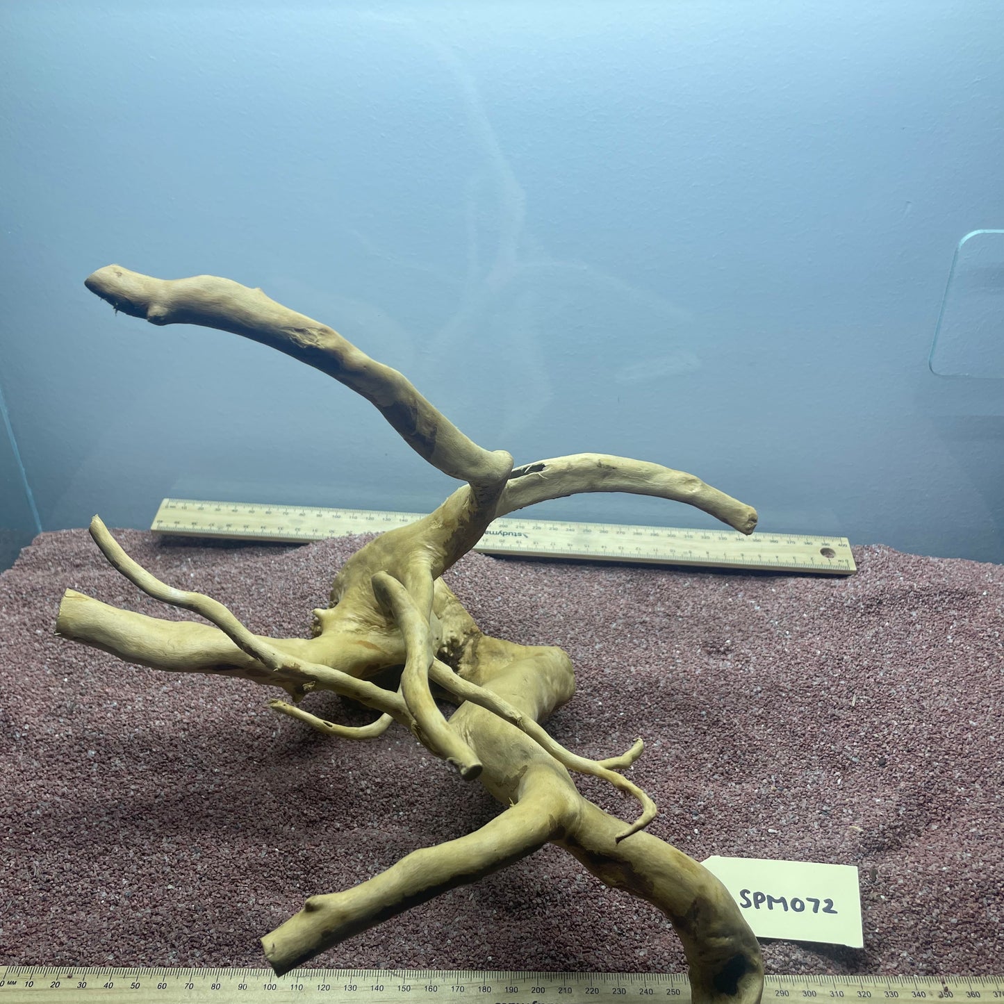 Spiderwood (Medium)