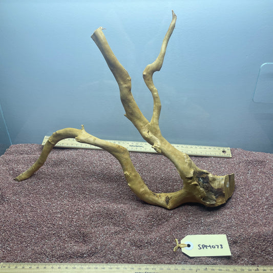 Spiderwood (Medium)