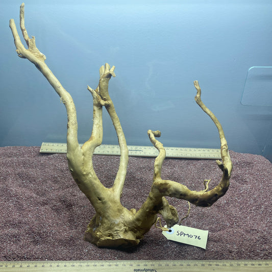 Spiderwood (Medium)