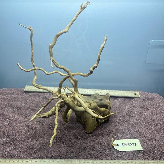 Spiderwood (Medium)