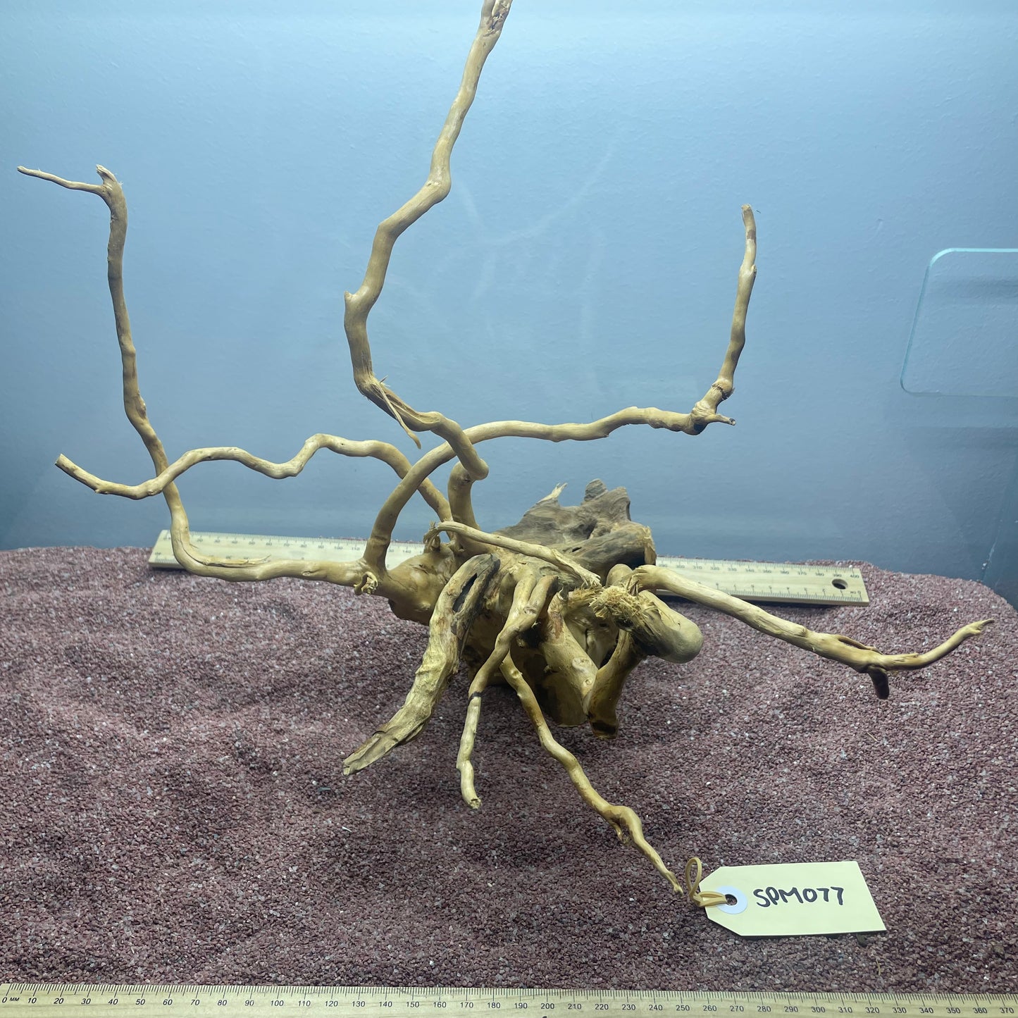 Spiderwood (Medium)