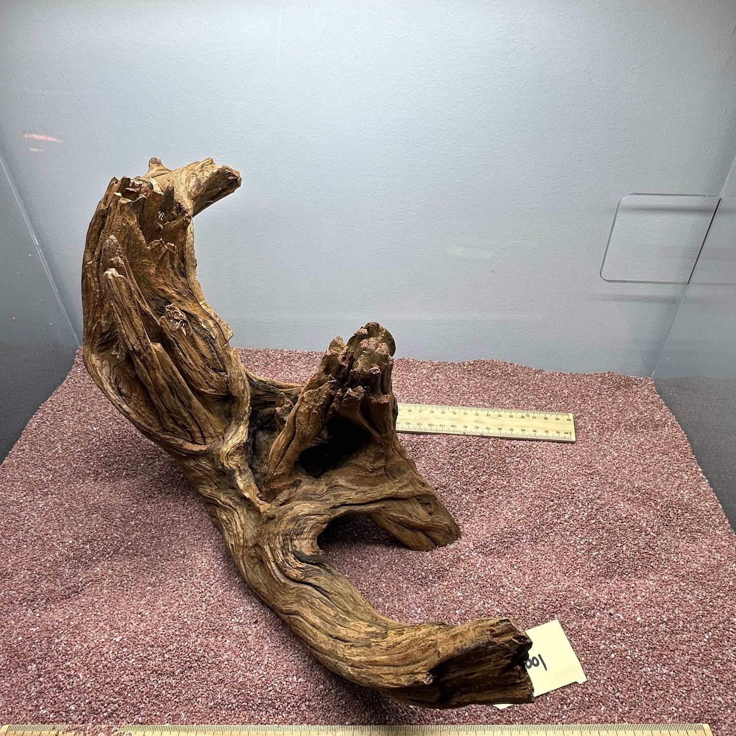 Driftwood (Large)