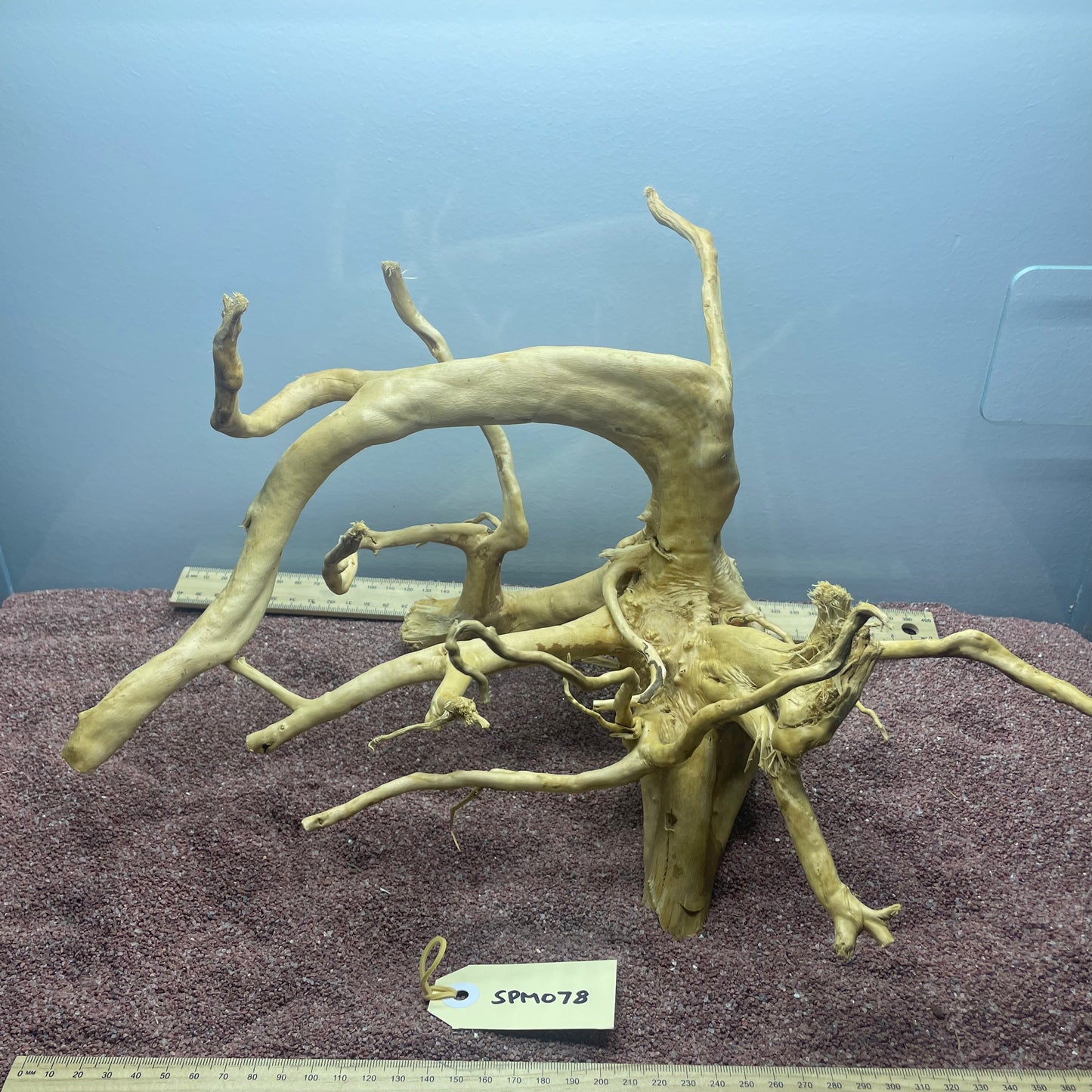 Spiderwood (Medium)