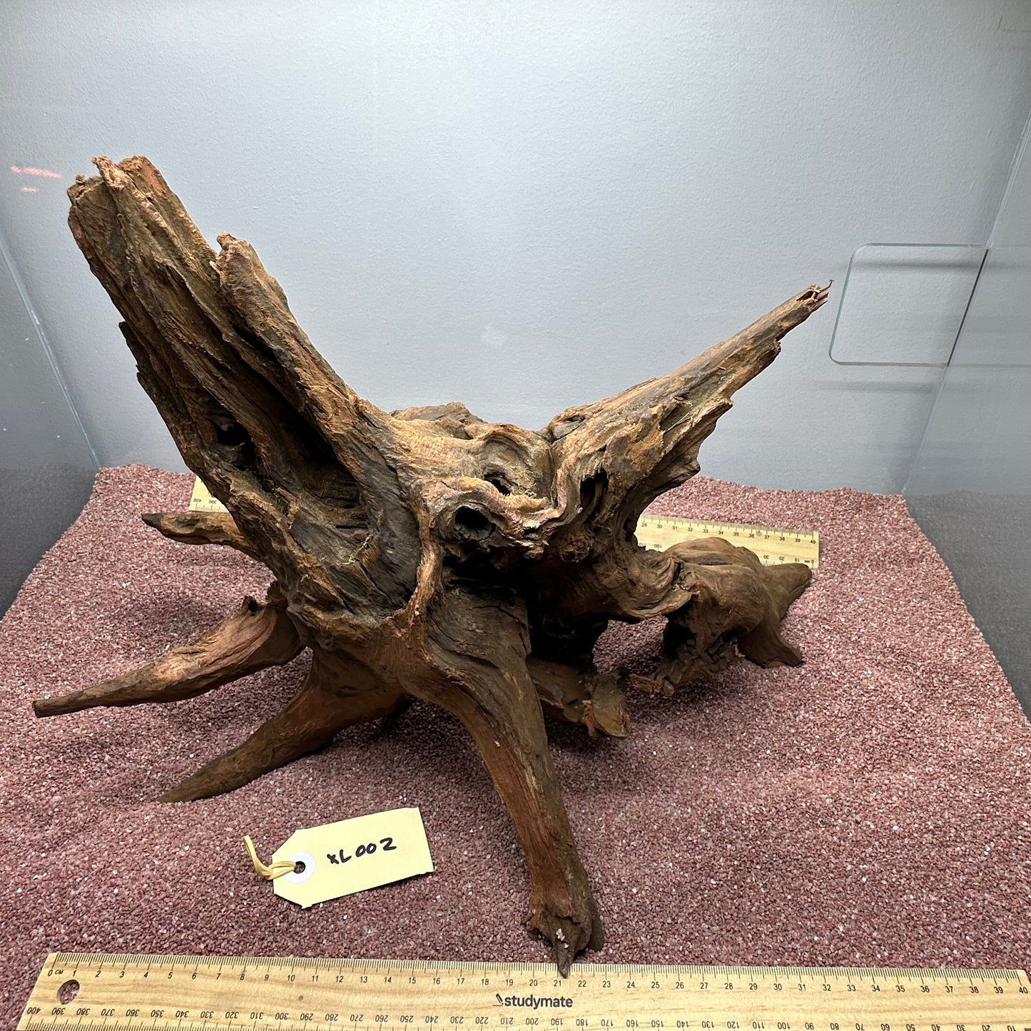 Driftwood (X Large)