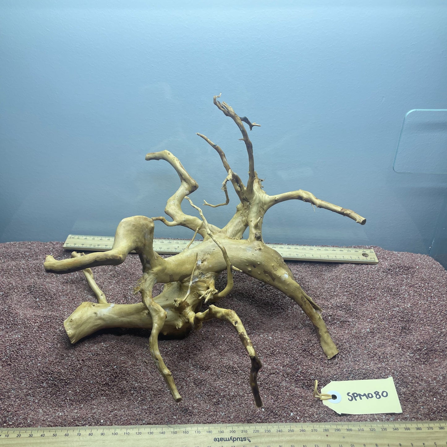 Spiderwood (Medium)