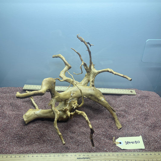 Spiderwood (Medium)