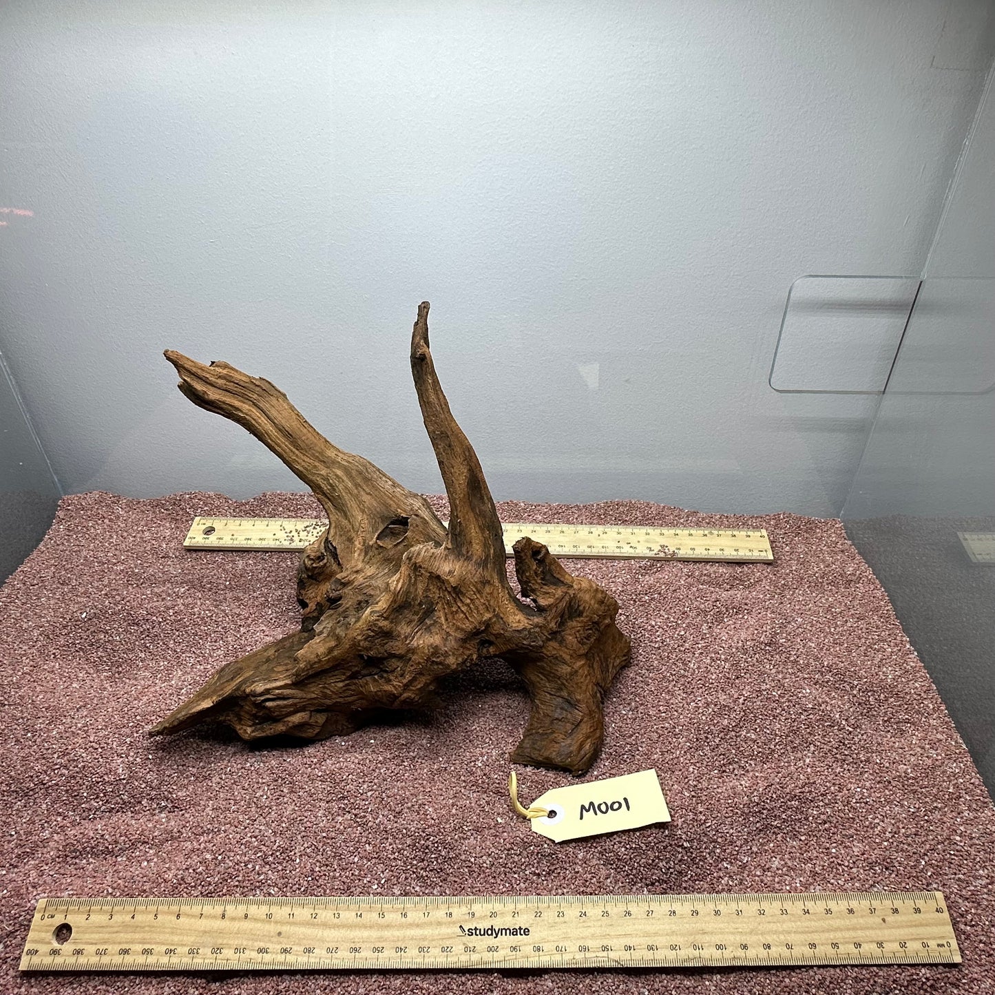 Driftwood (Medium)