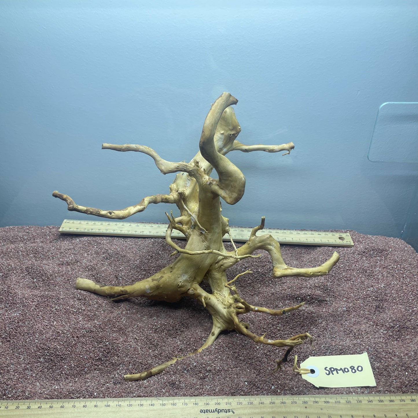 Spiderwood (Medium)