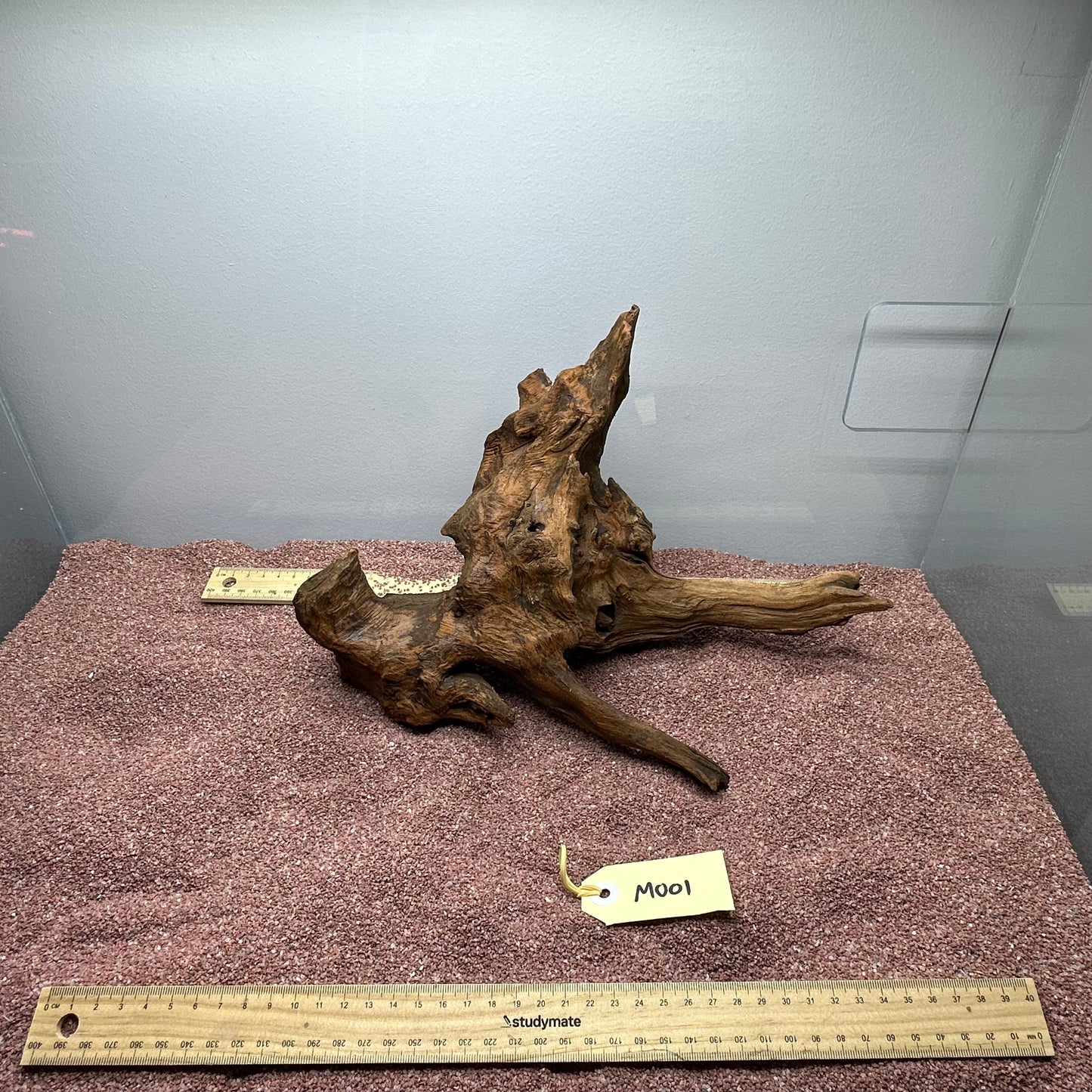 Driftwood (Medium)