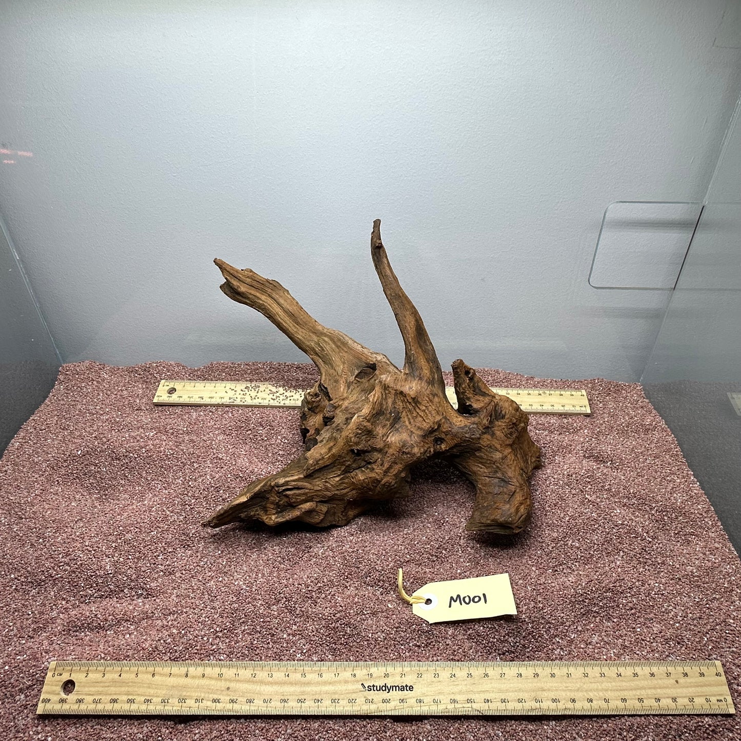 Driftwood (Medium)