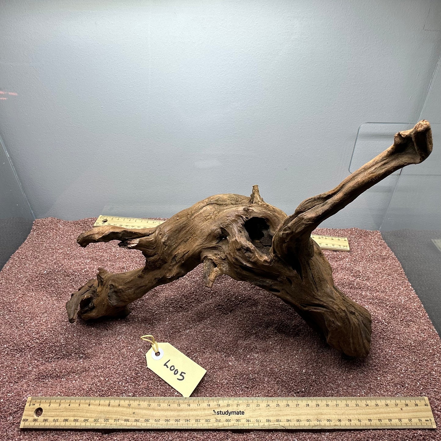 Driftwood (Large)