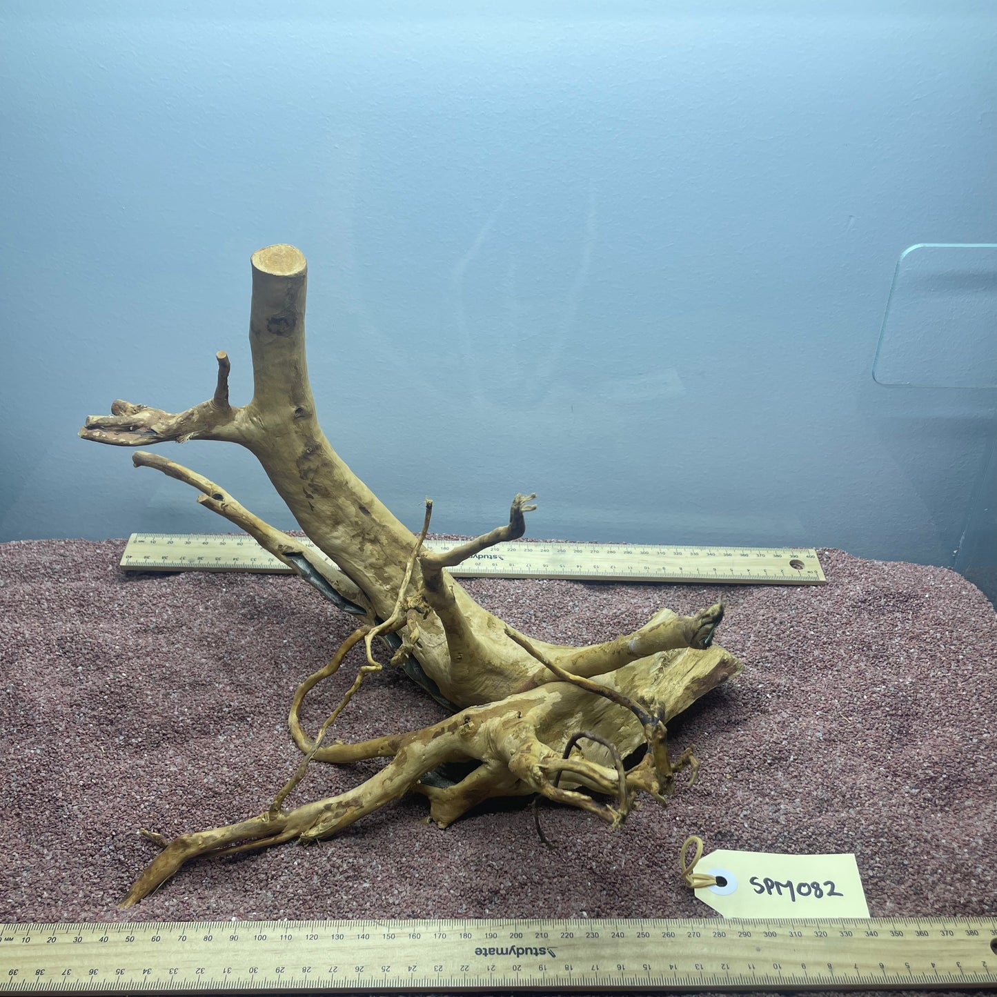 Spiderwood (Medium)