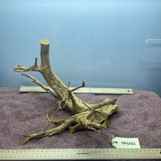 Spiderwood (Medium)