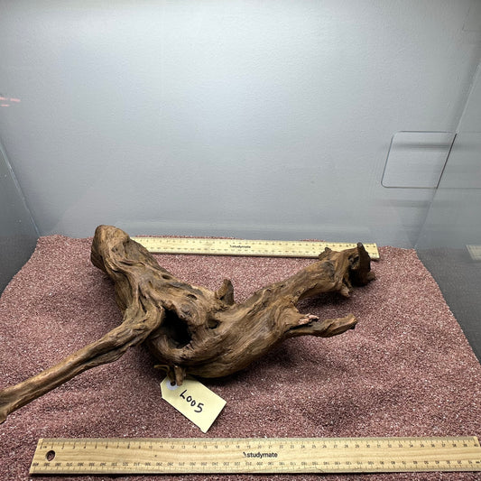 Driftwood (Large)