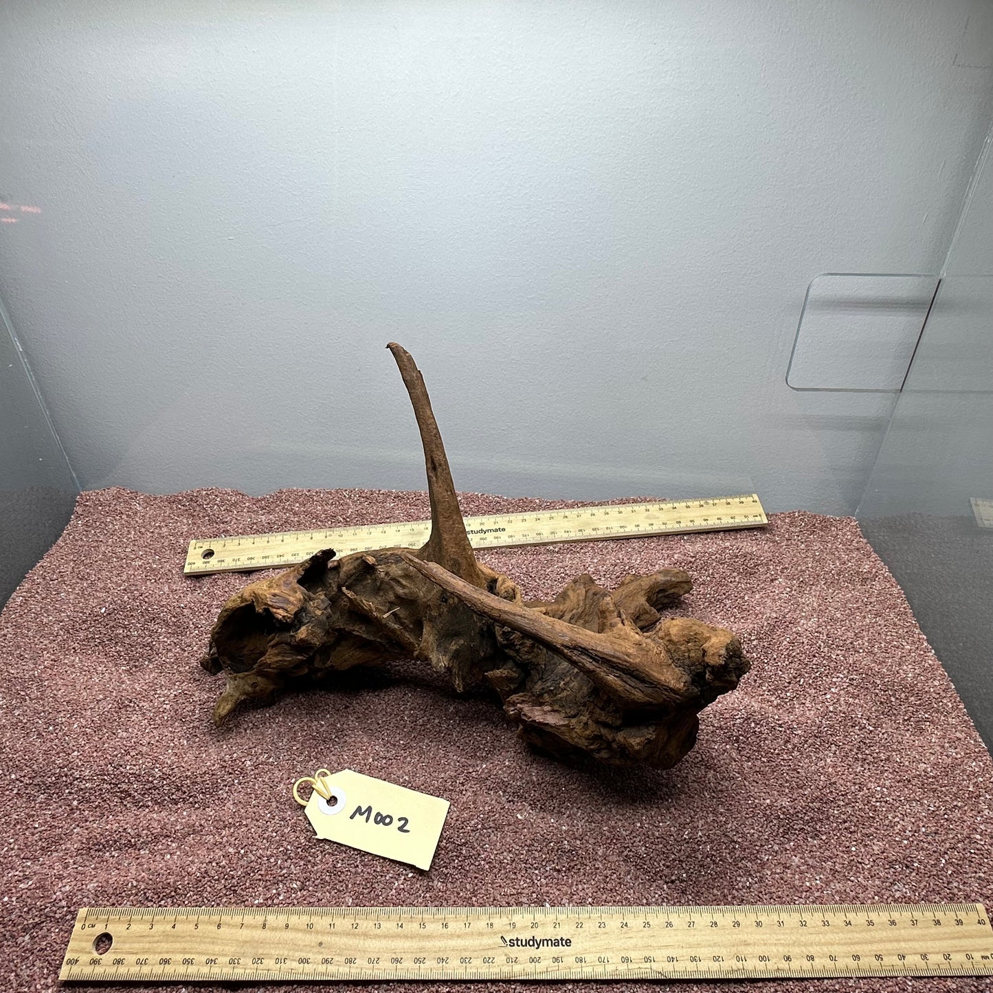 Driftwood (Medium)