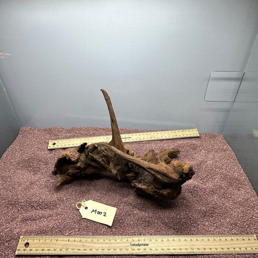 Driftwood (Medium)