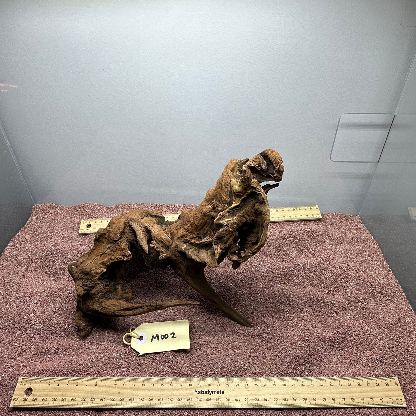 Driftwood (Medium)