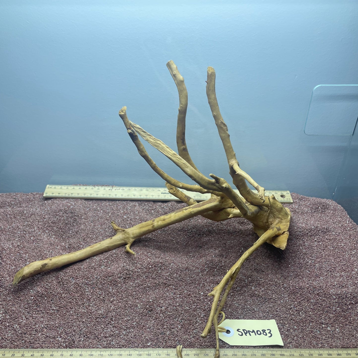 Spiderwood (Medium)