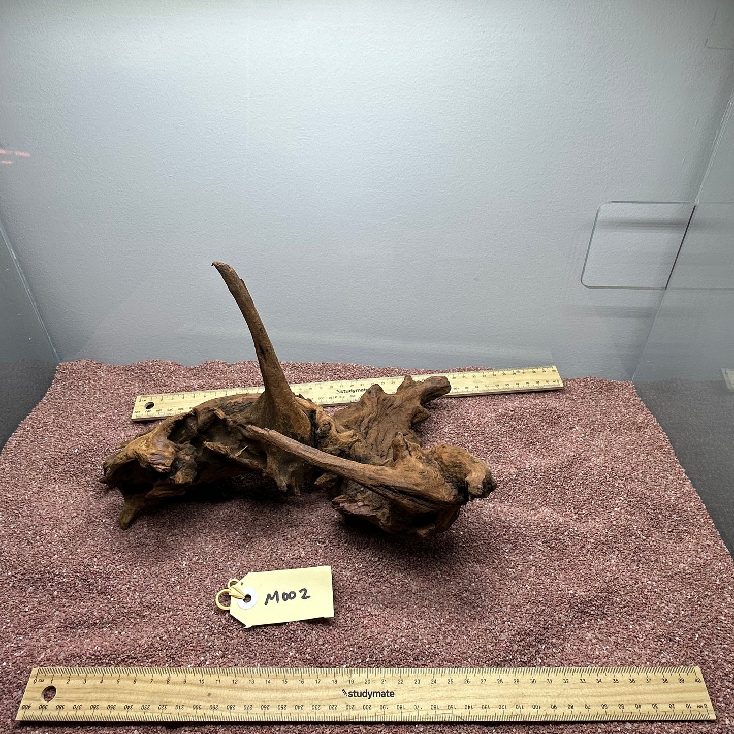 Driftwood (Medium)