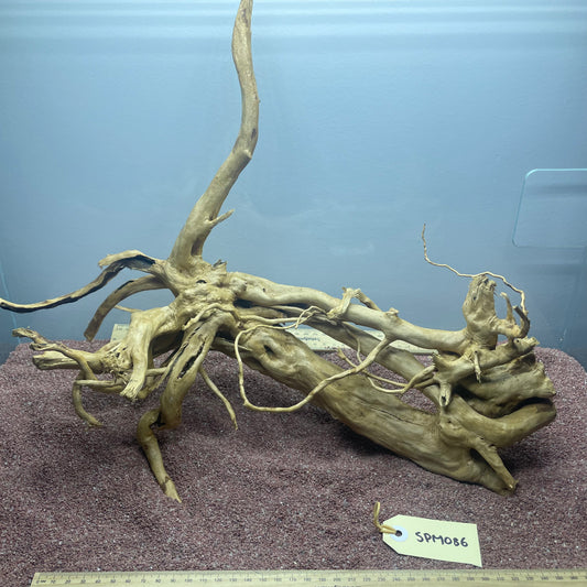 Spiderwood (Medium)