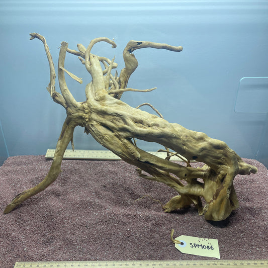 Spiderwood (Medium)