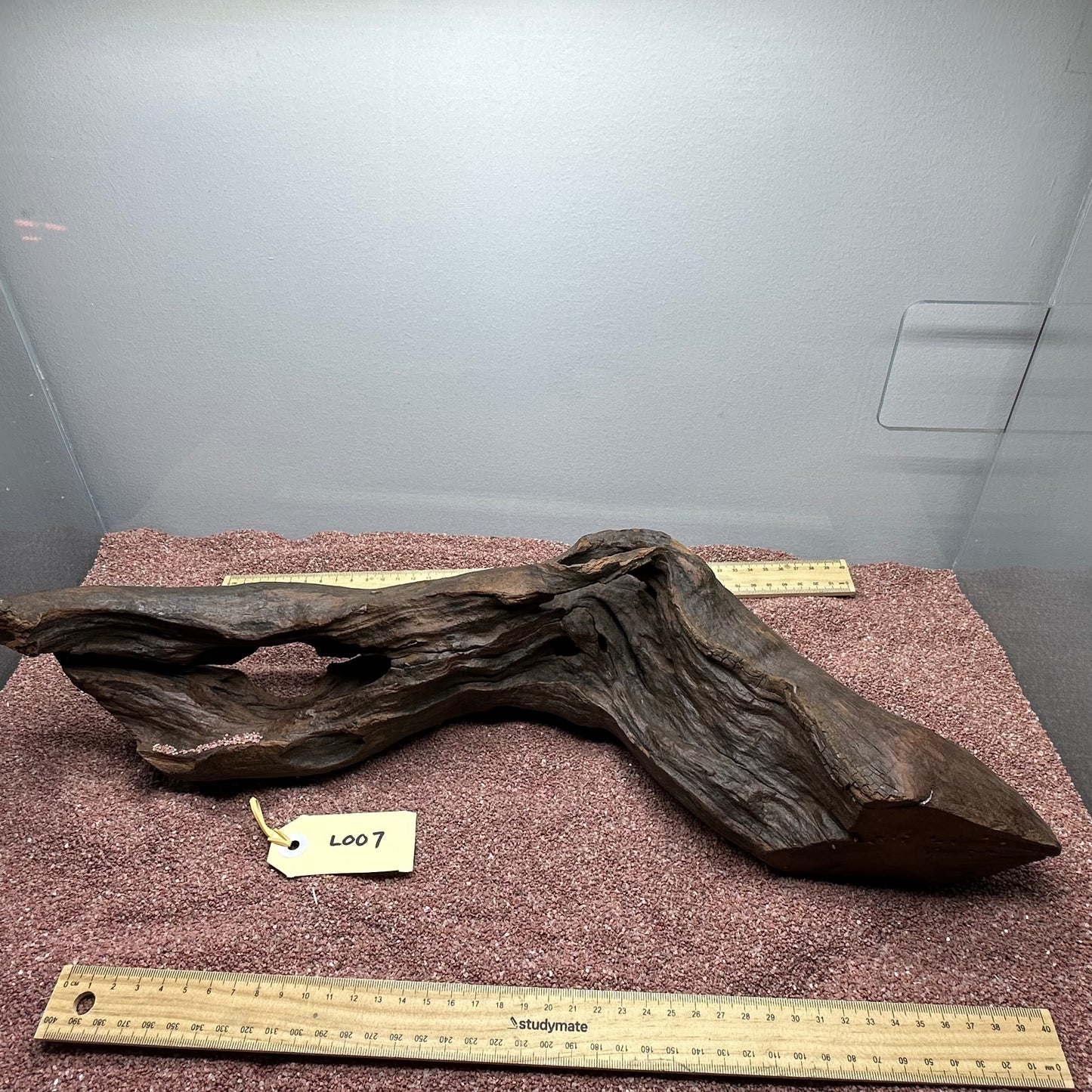 Driftwood (Large)