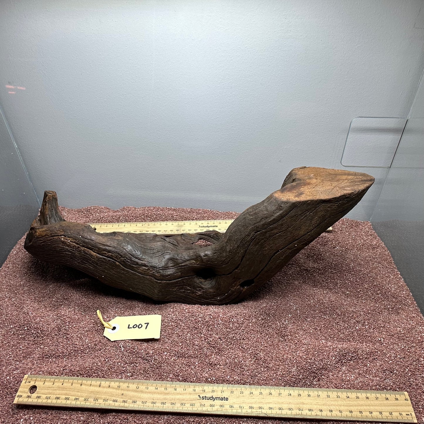 Driftwood (Large)